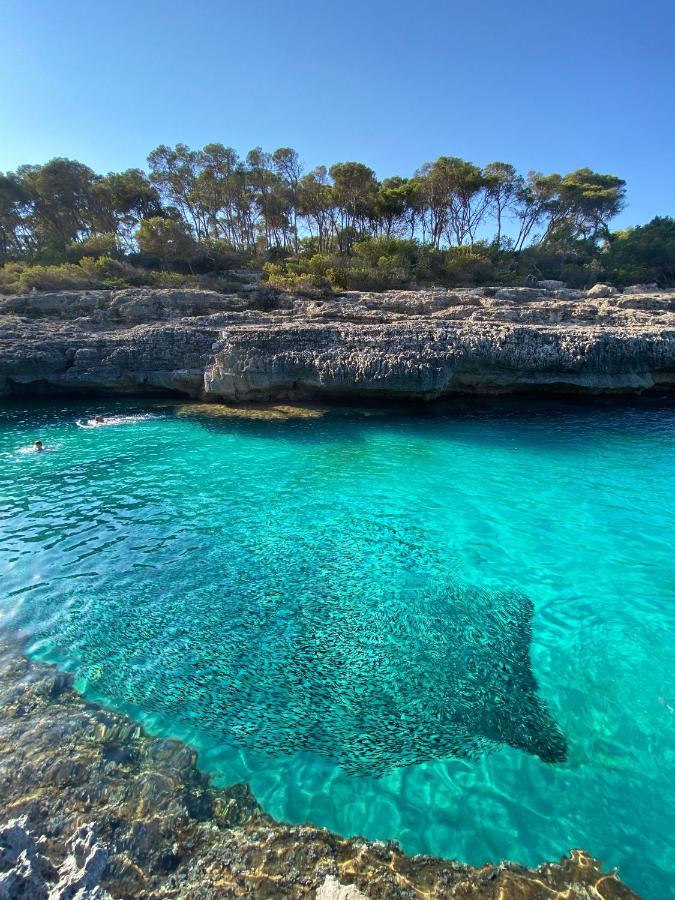 Yuca Ii Cala Mondrago (Mallorca)