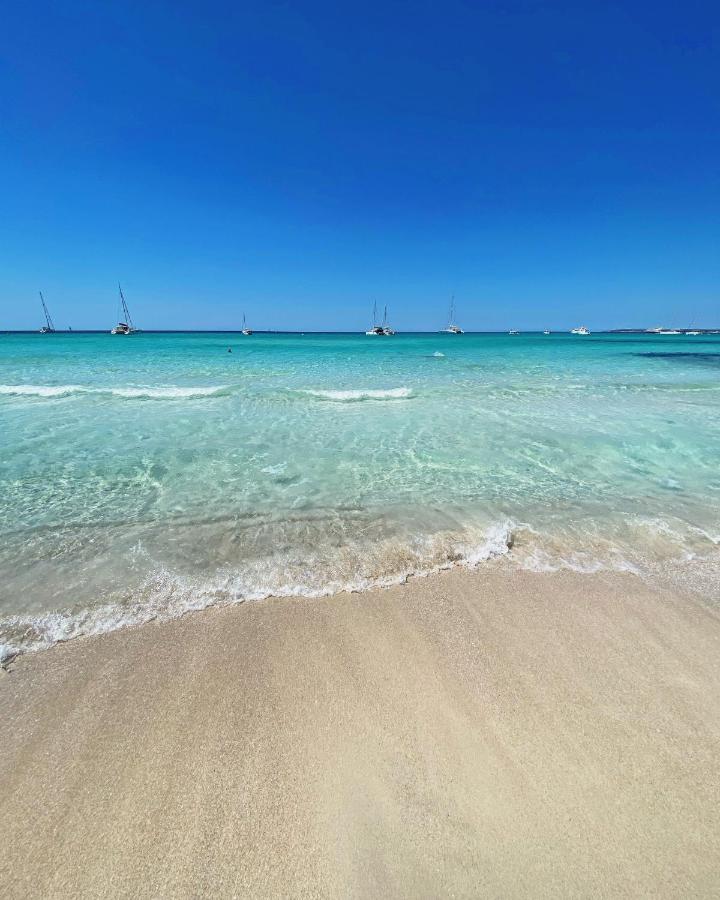 Yuca Ii * Cala Mondrago (Mallorca)
